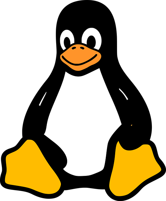 linux ristomanager 13