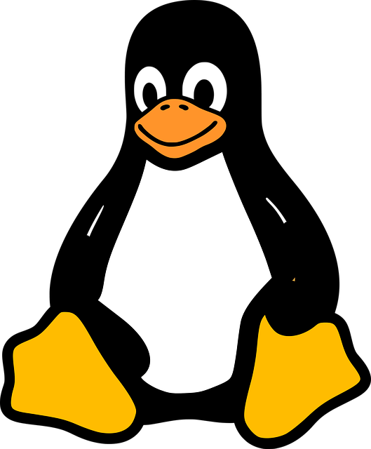linux ristomanager 5